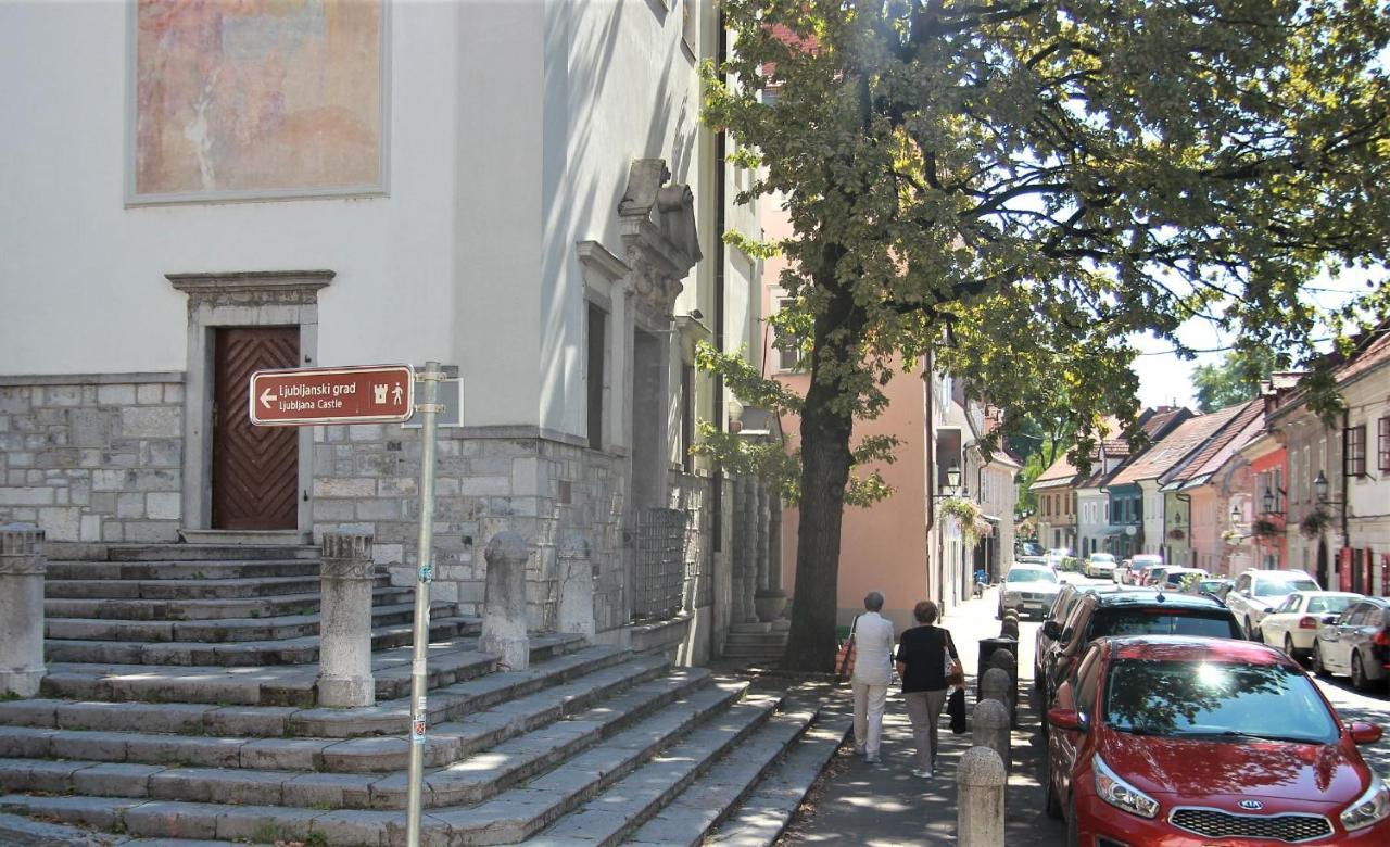 Pink House Studio Любляна Екстер'єр фото